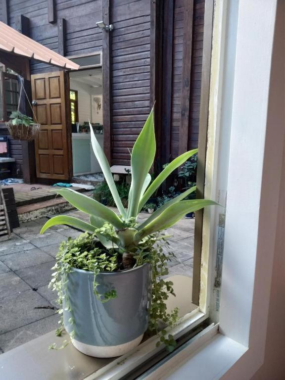 Chalet Ohana, Airport Family House Фааа Экстерьер фото